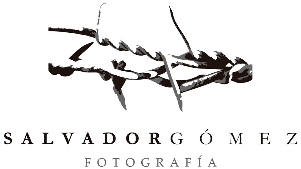 Salvador Gómez Sánchez